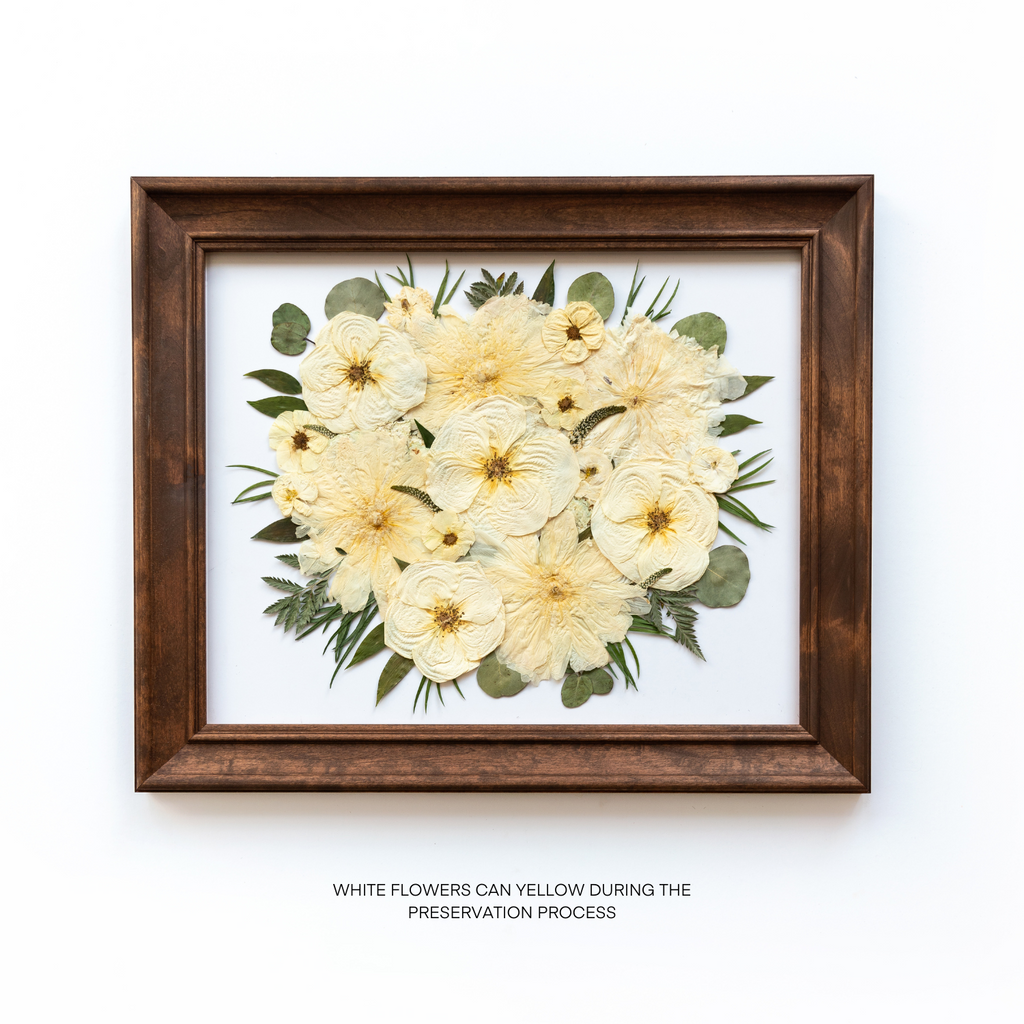 WHITE FLOWERS PRESERVED IN A FRAME TO LAST FOREVER 