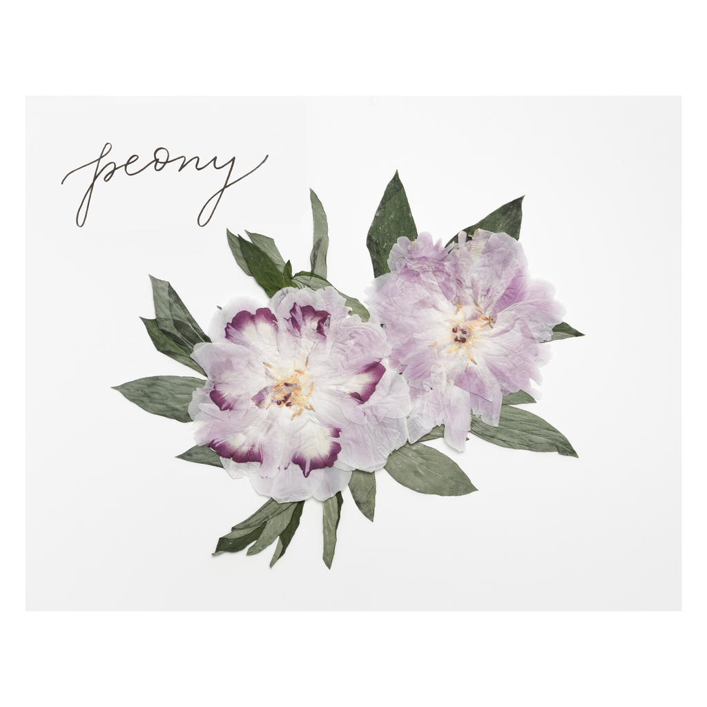 Peony Prints