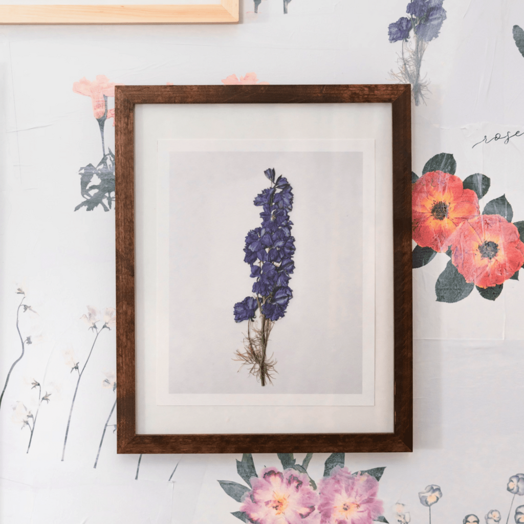 Larkspur Prints